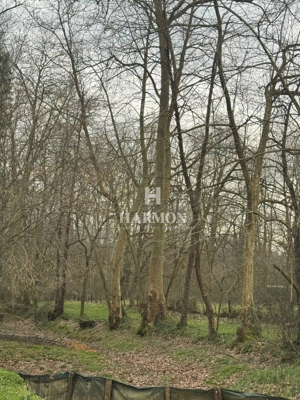 � vendre  Maison Saint-P�e-sur-Nivelle (64310)