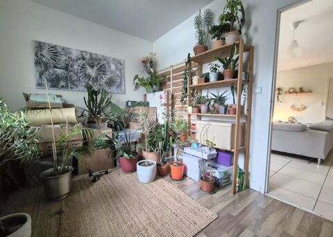  Appartement � louer 3 pi�ces 58 m�