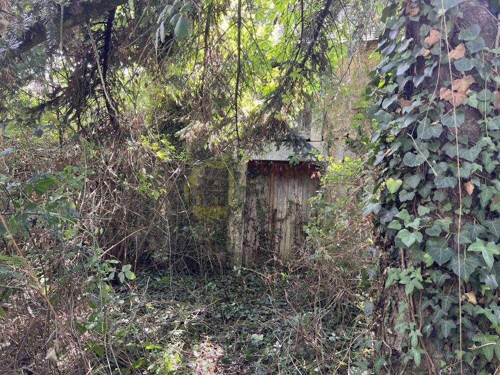 2 maisons à rénover + ruine, 4.000m2, compteur d'eau