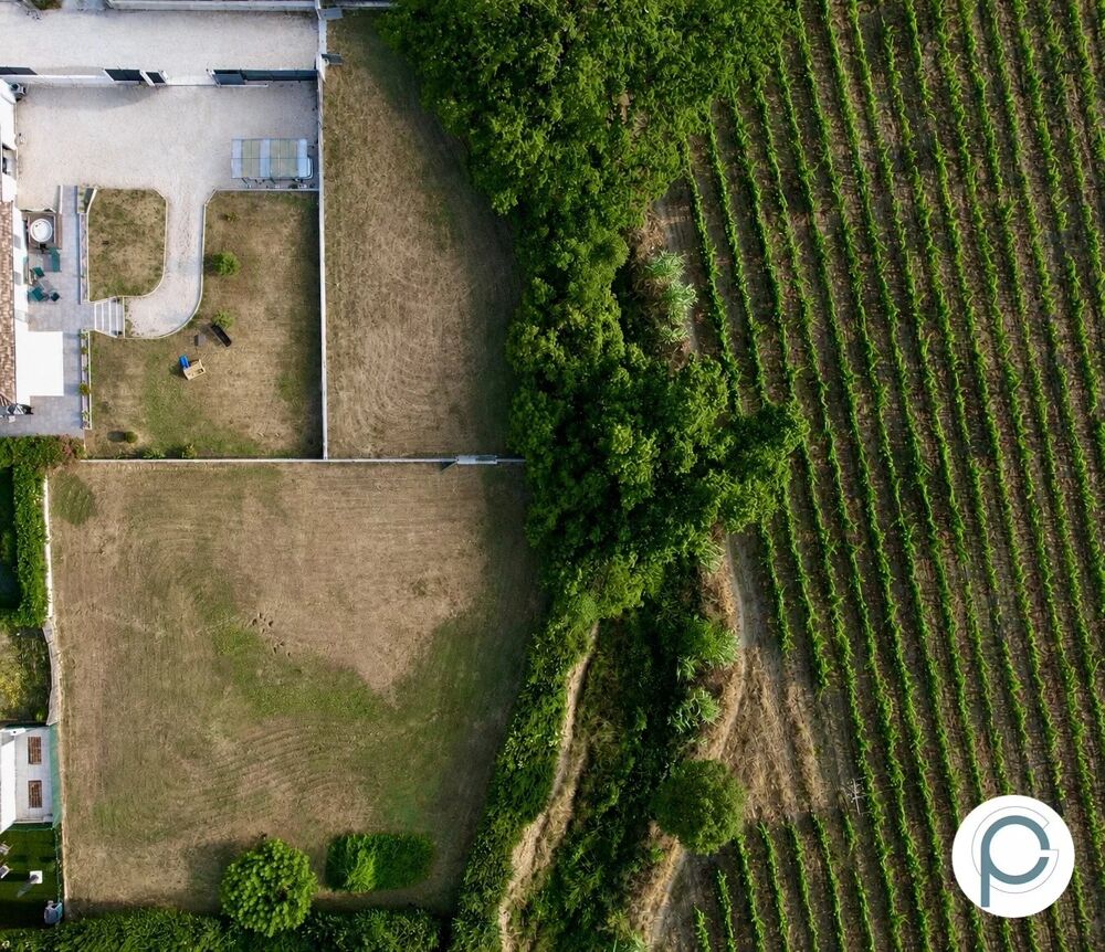 Vente Terrain Sainte Anne d'Evenos - Terrain constructible de 2376 m² Le beausset