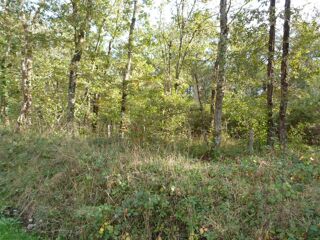  Terrain � vendre 23320 m�