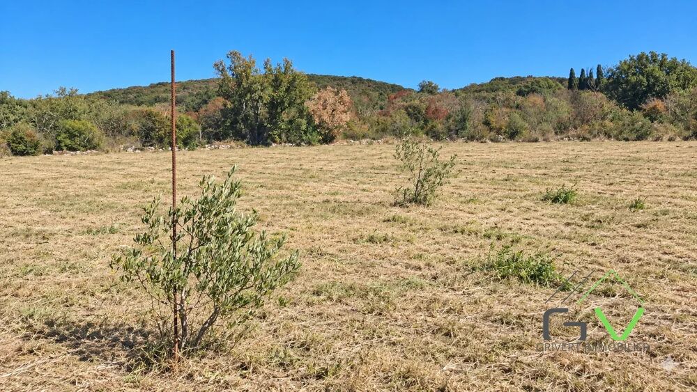 Vente Terrain A vendre Terrain Agricole Navacelles