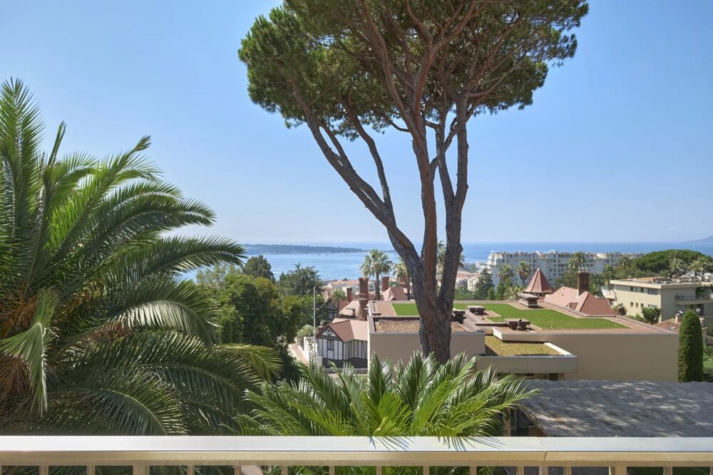 vendre  Appartement Cannes (06400)