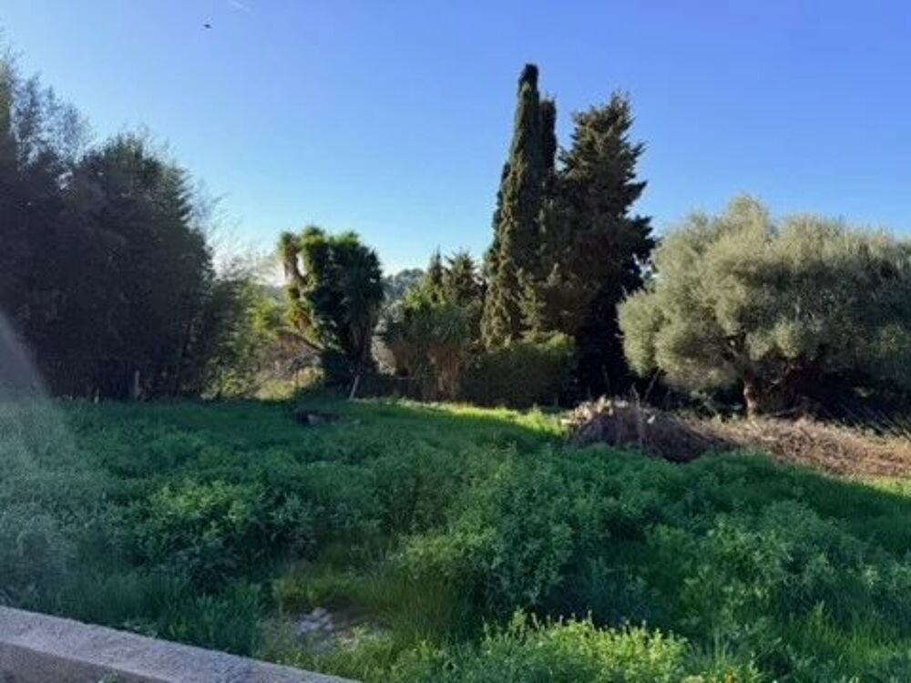 Vente Terrain Terrain constructible de 1630 m2 avec batisse a rénover ou à dem Vence