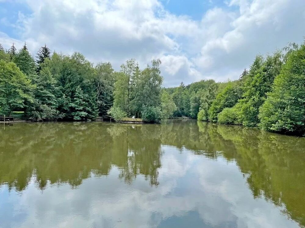 Vente Terrain EXCLUSIVITÉ – BOURGOGNE – PARC DU MORVAN – SECTEUR PLANCHEZ- 5 M Planchez