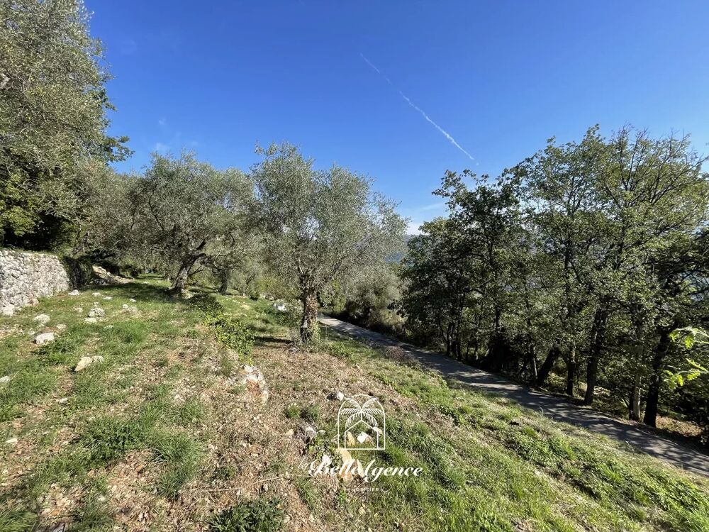 Vente Terrain Chateauneuf Villevieille - Terrain constructible 1950m² 'André' Châteauneuf-villevieille