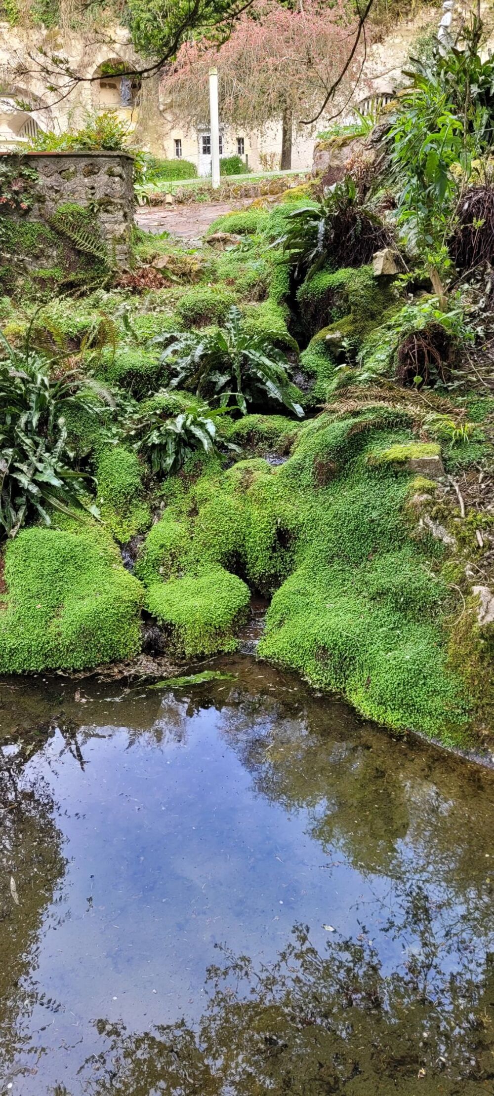 � vendre  Maison La Chartre-sur-le-Loir (72340)