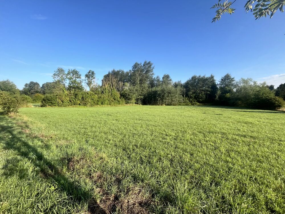 Vente Terrain Terrain constructible Presles et Thierny Presles-et-thierny