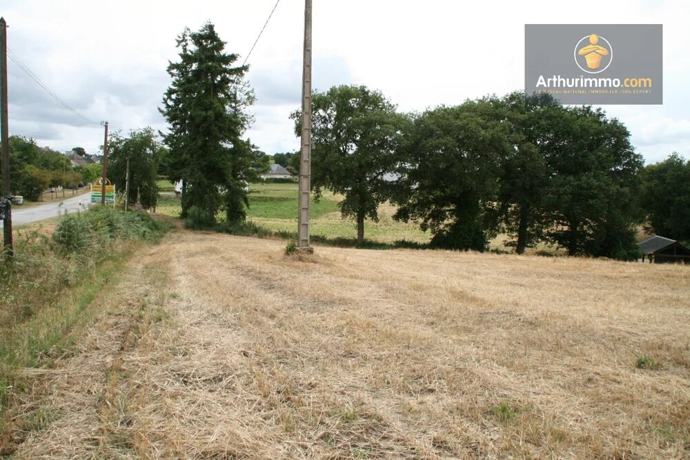 Vente Terrain GUEGON TERRAIN 2.28 HECTARES Gu�gon