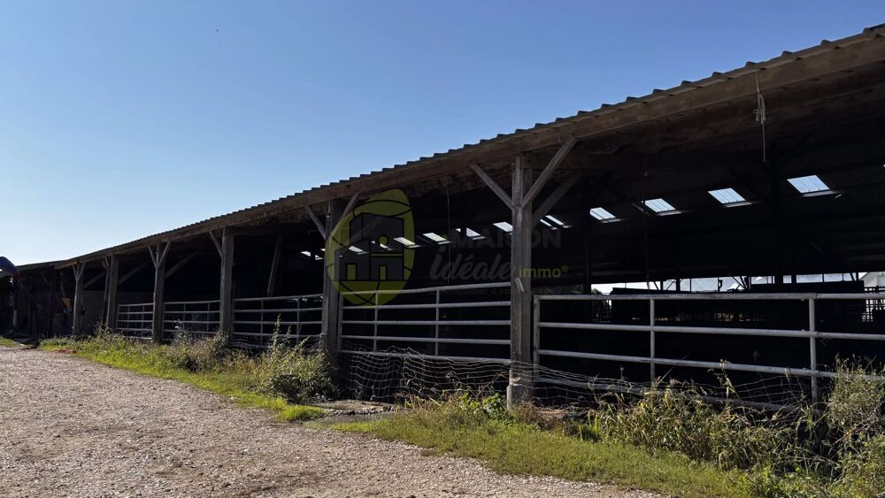 Vente Maison PROPRIETE AGRICOLE MODULABLE SUR 33HA DE PRAIRIES BIO/BOIS ET RI Neuillay-les-bois