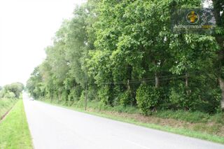  Terrain à vendre 53650 m²