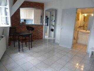  Appartement à louer 1 pièce 30 m²