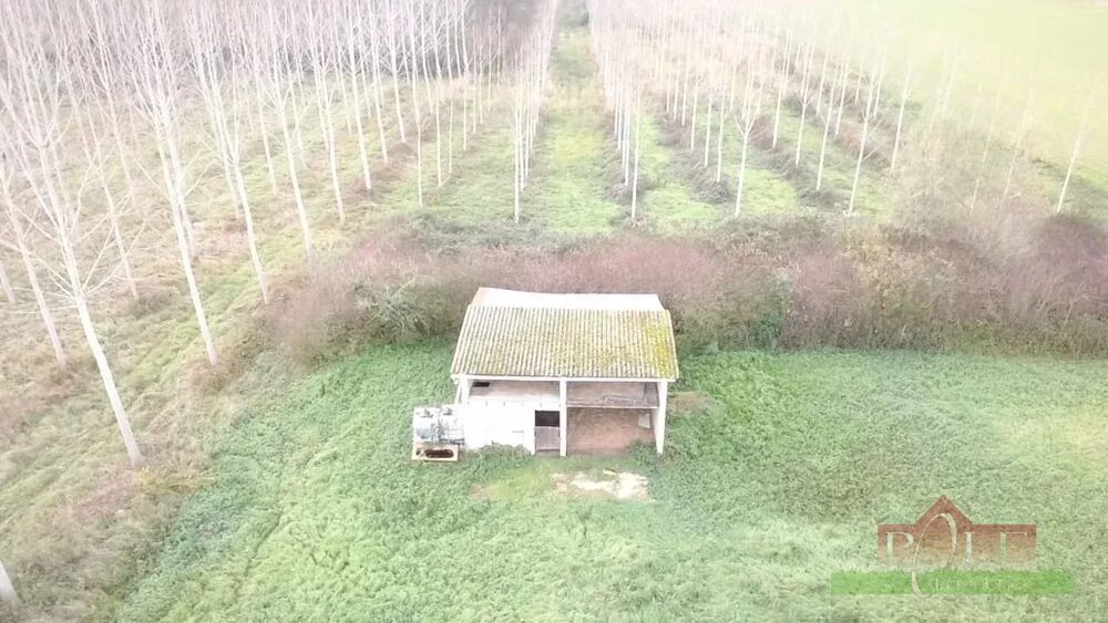 Vente Maison CHEYSSIEU, Box à chevaux 60 m² avec terrain de 2480 m² Cheyssieu