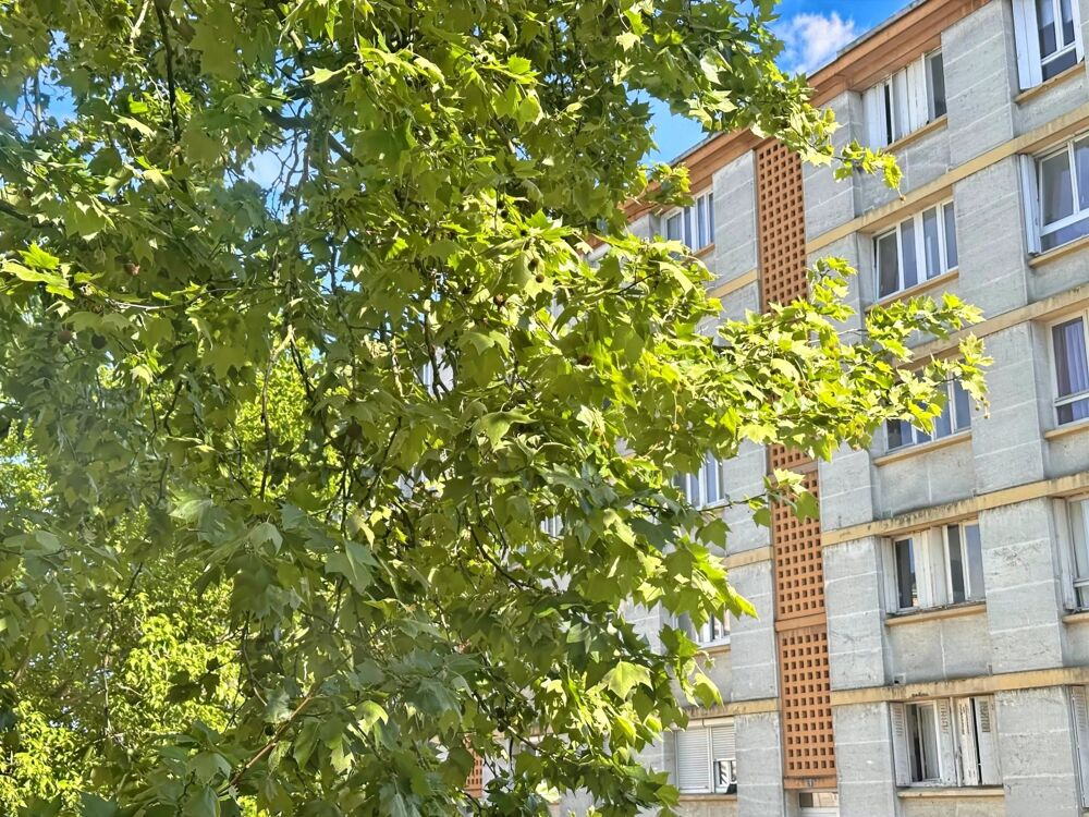 Vente Appartement T2 À RÉNOVER - MÉRIGNAC LE BURCK Mérignac