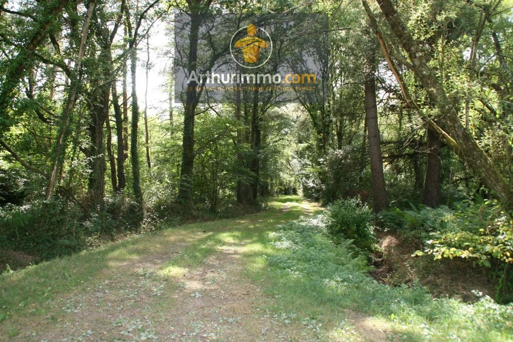 Vente Terrain HELLEAN PARCELLES BOISÉES 9 400 M² Helléan