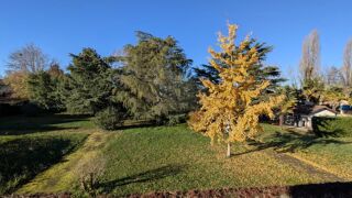  Immeuble � vendre 15 + pi�ces 1800 m�