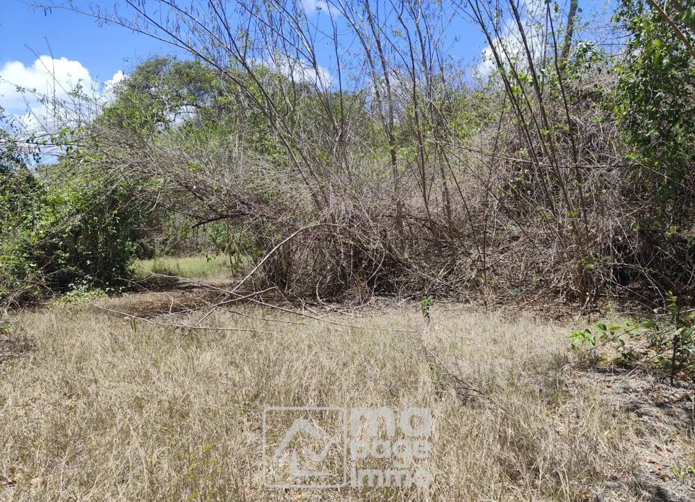 Vente Terrain Vends Grand Terrain Plat, Le Vauclin Le vauclin