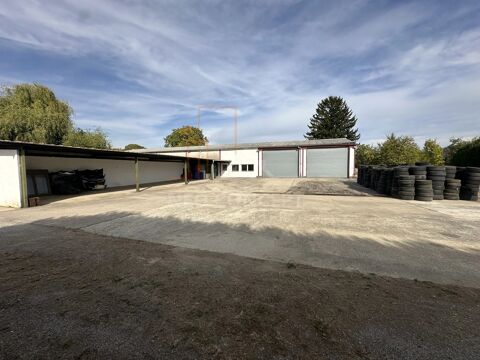 EXCLUSIVITE NEO CONCEPT IMMO 225000 67470 Schaffhouse-près-seltz