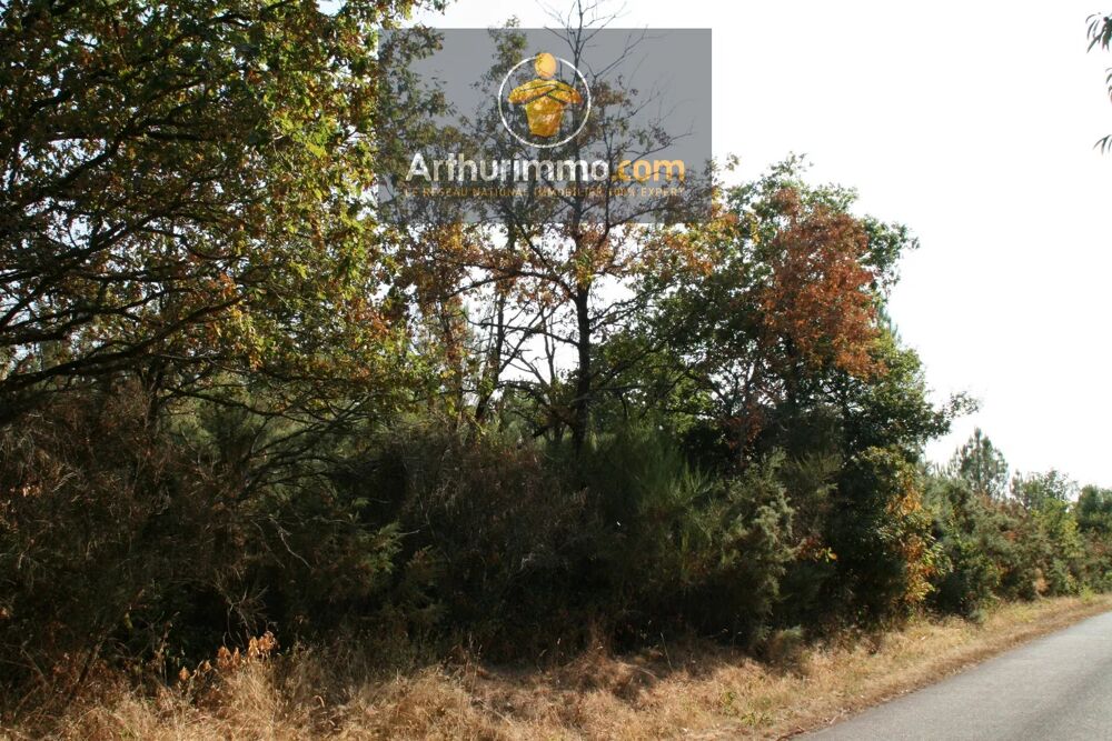 Vente Terrain BILLIO - TERRAIN BOISÉ DE 9 900 M² Billio