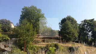  Terrain � vendre 