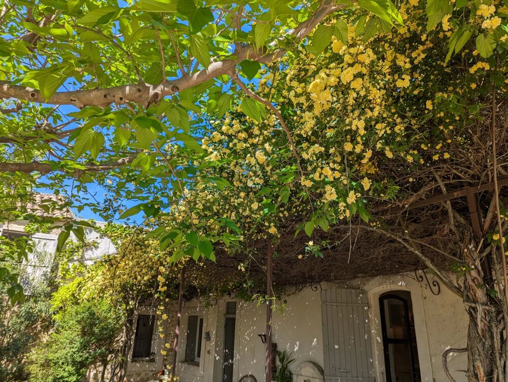  vendre  Maison Orange (84100)