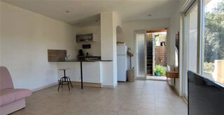  Appartement à louer 1 pièce 30 m²