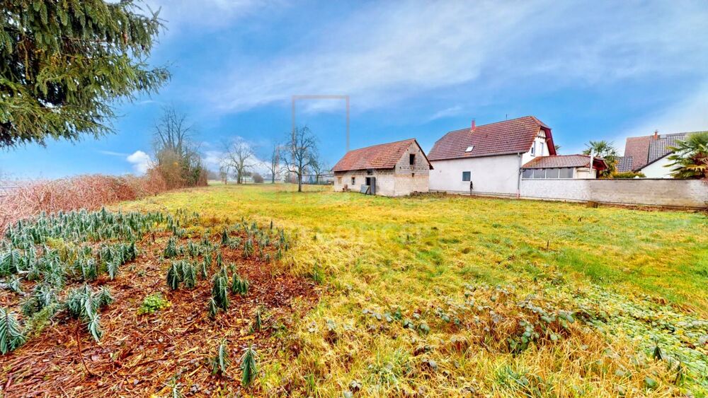 Vente Maison EXCLUSIVITE NEO CONCEPT IMMO Roppenheim