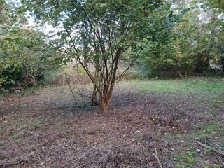  Terrain à vendre 590 m²