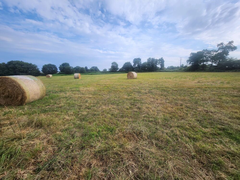 Vente Terrain Magnifique terrain constructible Carhaix-plouguer