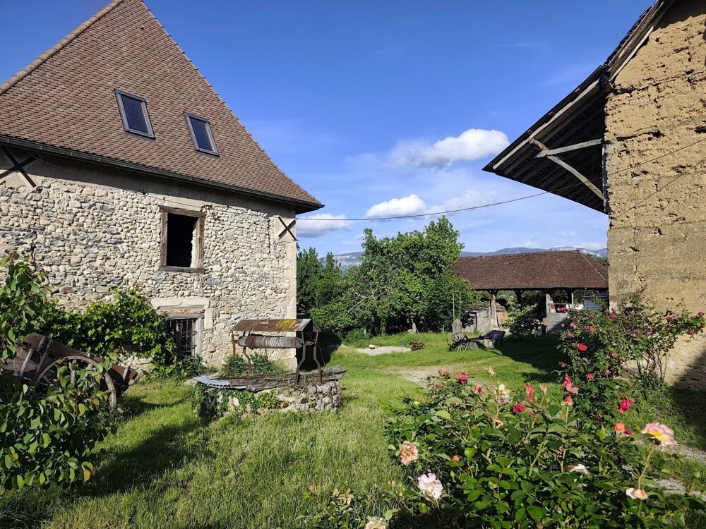 Vente Immeuble EXCLUSIVITÉ - FERME FORTE, DÉPENDANCES, ESPACES ET PATRIMOINE Saint-jean-d'avelanne