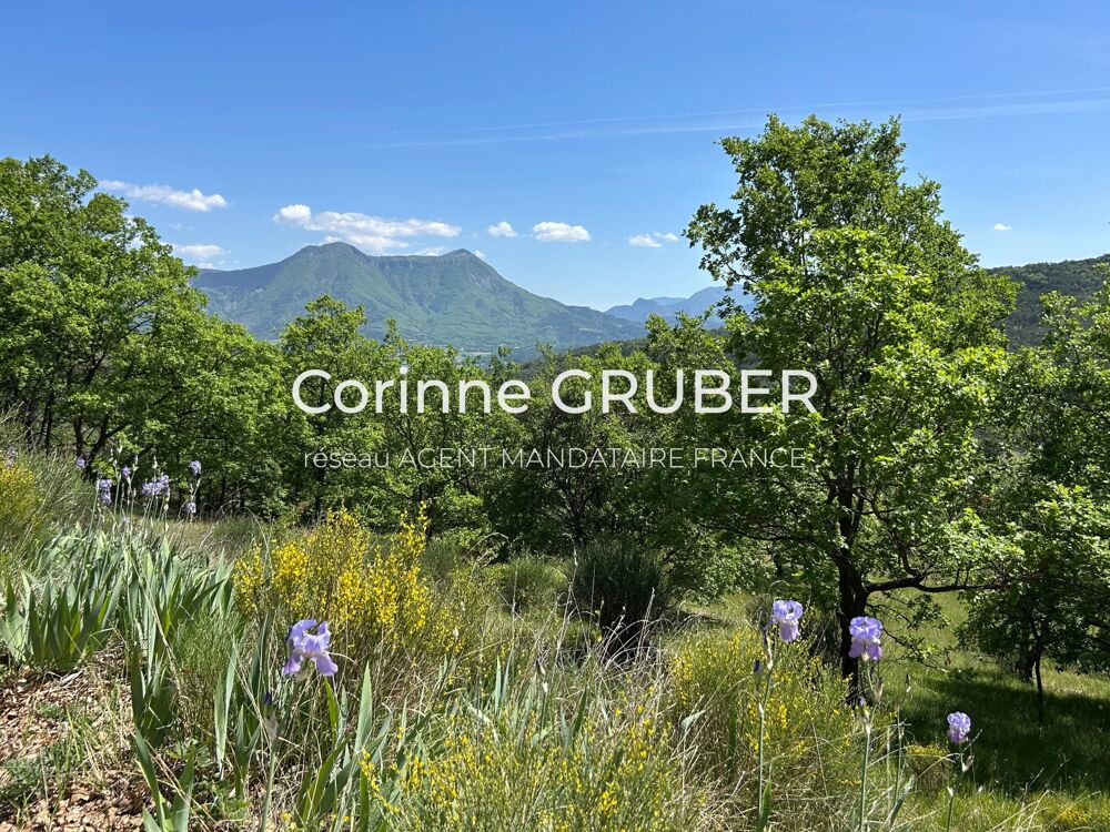 Vente Maison EXCLUSIVITÉ Maison en pierre 335m2 avec 1ha - 04 Alpes-de-Haute- Digne-les-bains