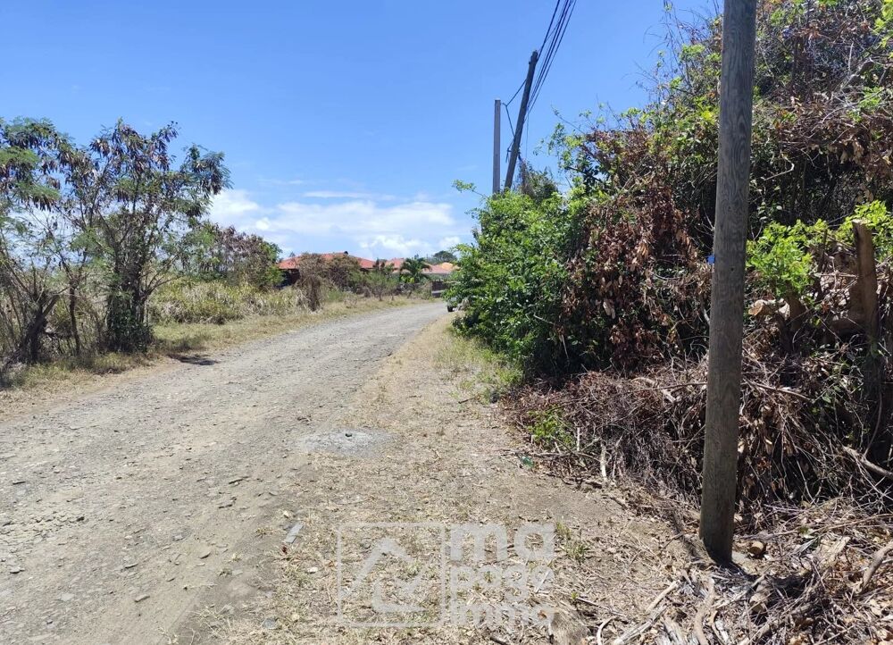 Vente Terrain Vends Grand Terrain Plat, Le Vauclin Le vauclin