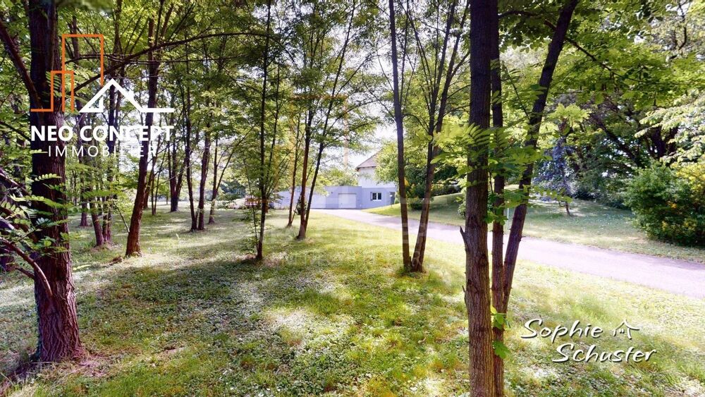 � vendre  Maison Sessenheim (67770)
