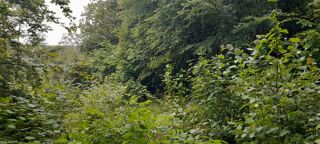  Terrain � vendre 886 m�