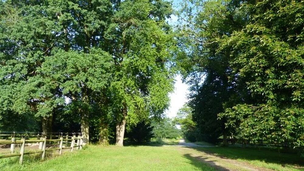  vendre  Maison Villemurlin (45600)