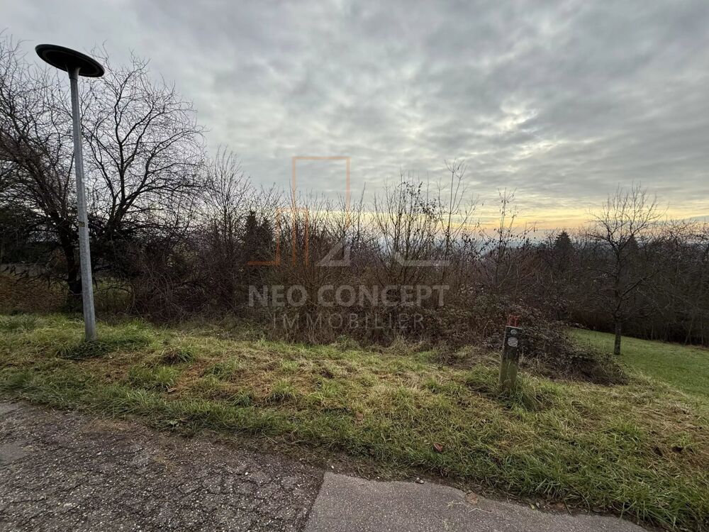 Vente Terrain OBERBRONN, Beau terrain constructible et viabilisé Oberbronn