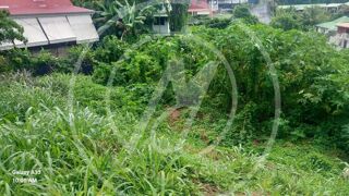  Terrain � vendre 585 m�