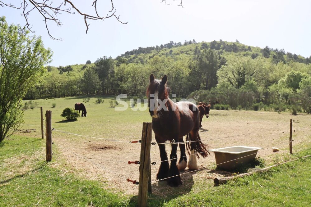 Campagne de Allan ferme rénovée et environ 17ha
