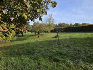  Maison � vendre 4 pi�ces 255 m�