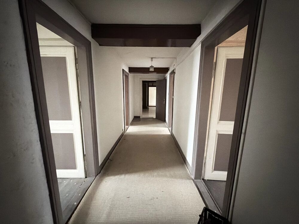 Orangerie, appartement de 241 m2 à rénover