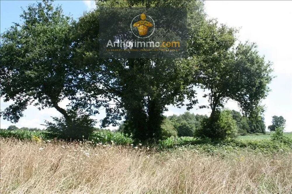 Vente Terrain GUILLAC TERRAIN BOISE 4 000 M² Guillac