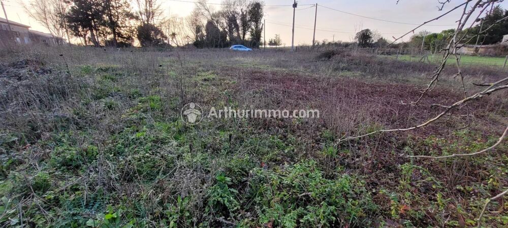 Vente Terrain Saint Pierre de Juillers Saint-pierre-de-juillers