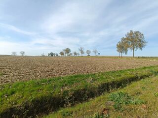  Terrain à vendre 11378 m²