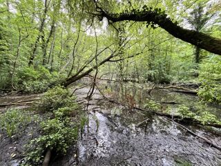  Terrain  vendre 26235 m