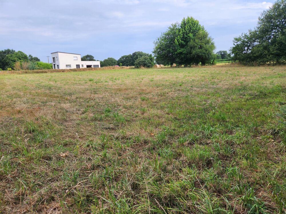 Vente Terrain Magnifique terrain constructible Carhaix-plouguer