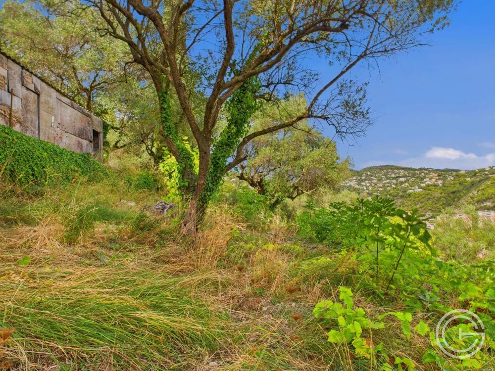 Vente Terrain Terrain Constructible - 1.329m² - Chemin de Rimiez - ST ANDRE DE Saint-andré-de-la-roche