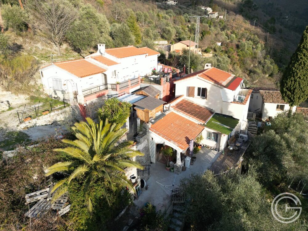 Propriété avec deux maisons et studio  7 500 m² de terrain - ro