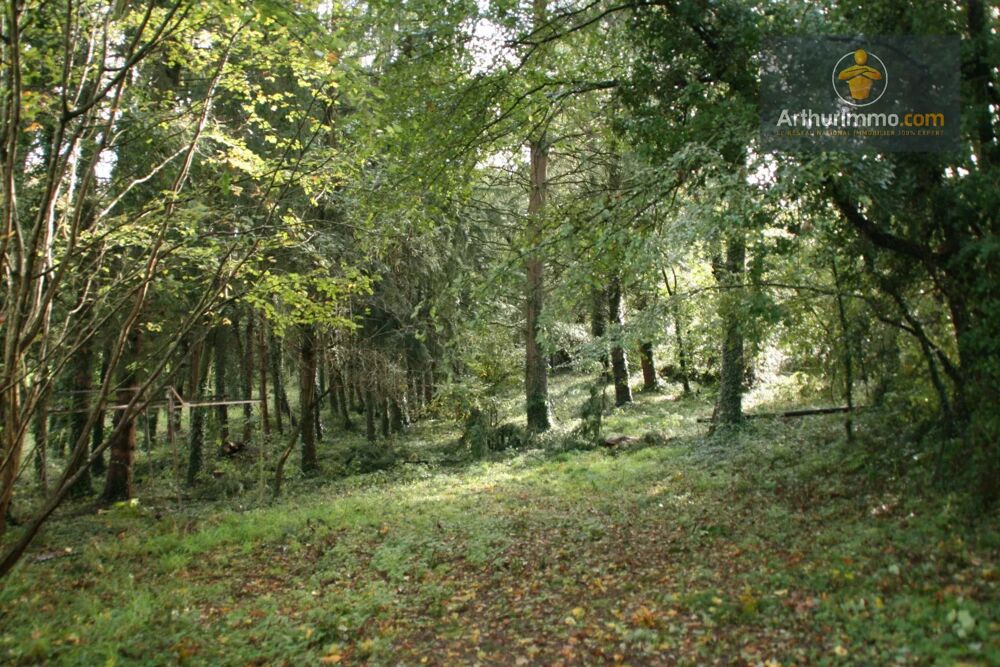 Vente Terrain JOSSELIN TERRAIN 1,75 HECTARE Josselin