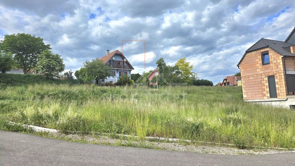 Vente Terrain Exclusivité : terrain constructible et viabilisé Wintzenbach