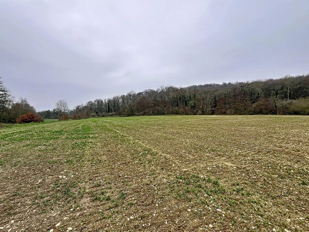 Vente Terrain A vendre Terrain agricole constructible – Festieux Festieux